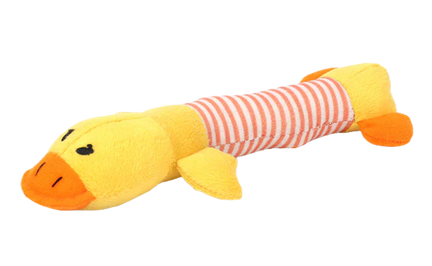 Squeak