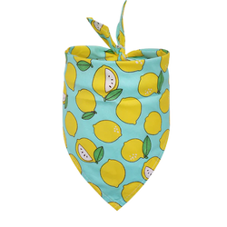 Fruits